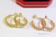 2021 NEW! AAA Replica Cartier Clash de Earring with Diamonds (5)_th.jpg